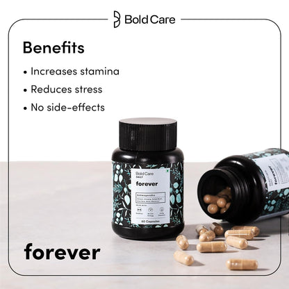 https://cdn.shopify.com/s/files/1/1857/6931/files/b56V2IxQhD.jpg?v=1714392301