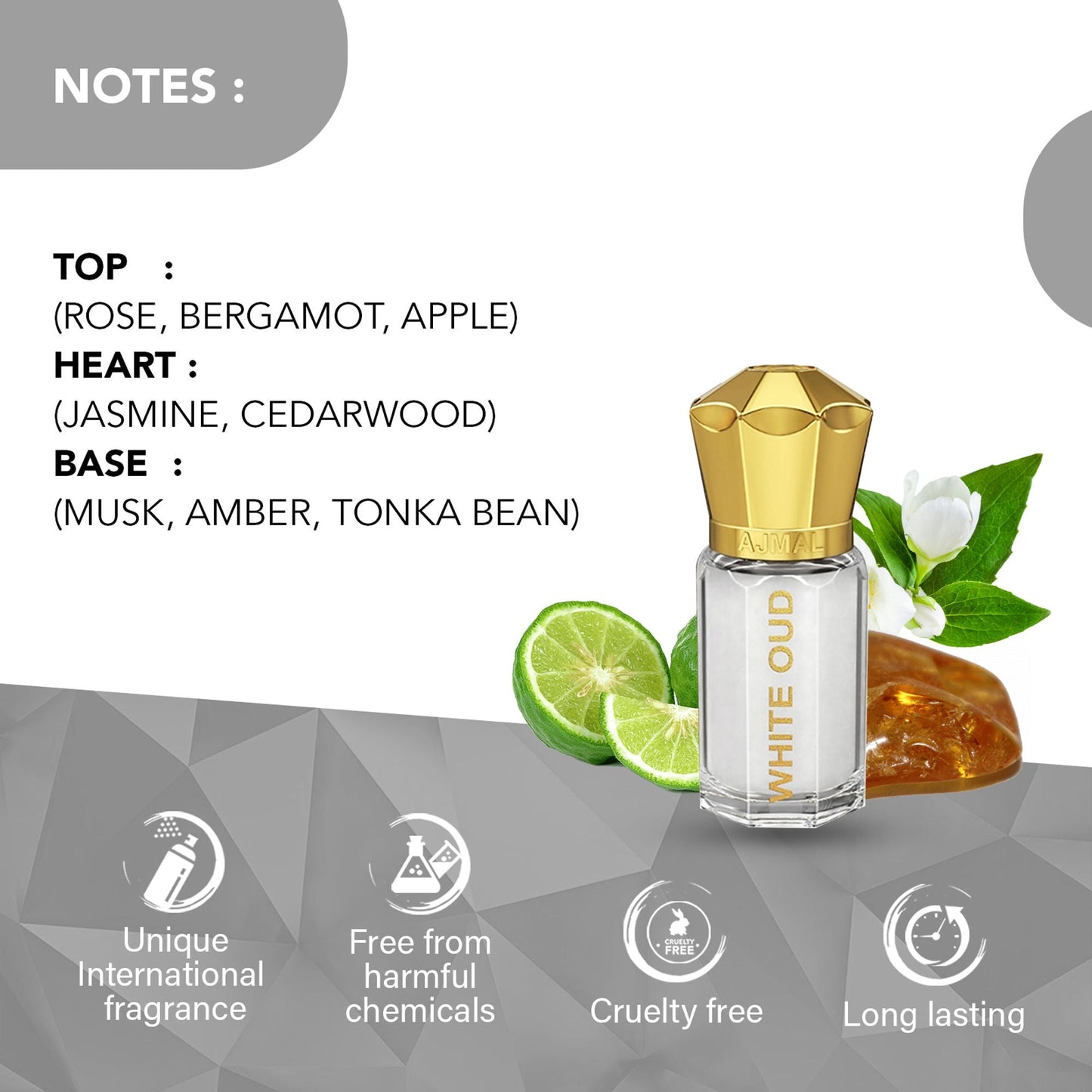 https://cdn.shopify.com/s/files/1/1857/6931/files/b797ea08906066311031_2.jpg?v=1779877687