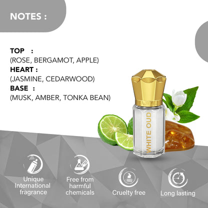 https://cdn.shopify.com/s/files/1/1857/6931/files/b797ea08906066311031_2.jpg?v=1779877687