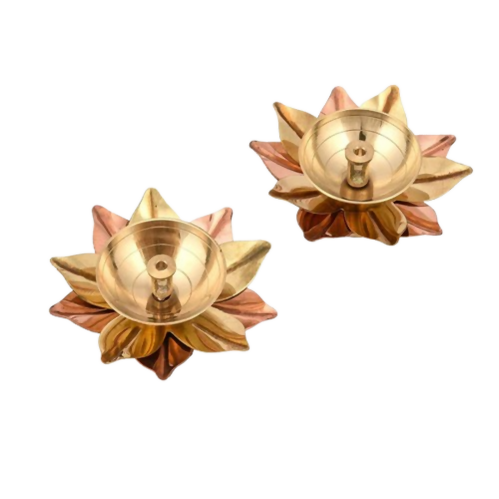 https://cdn.shopify.com/s/files/1/1857/6931/files/b7gC7LIh7p.png?v=1784711065