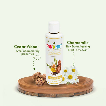 https://cdn.shopify.com/s/files/1/1857/6931/products/b7uaXub4Vr.jpg?v=1673010280