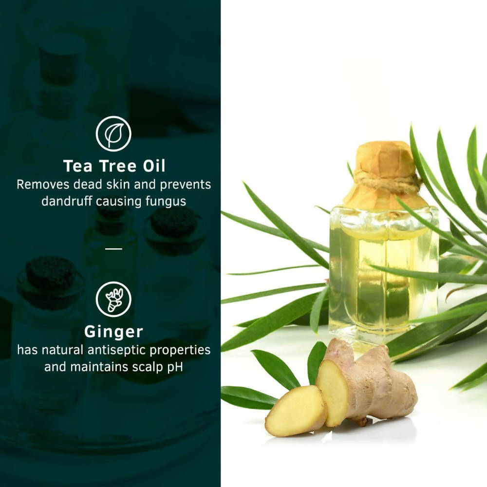 https://cdn.shopify.com/s/files/1/1857/6931/products/b85DBvvfdt.jpg?v=1649499846