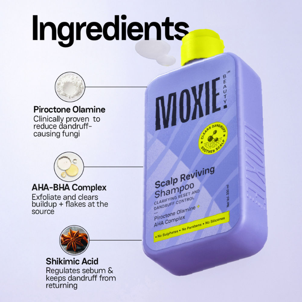 https://cdn.shopify.com/s/files/1/1857/6931/files/b976caff619ea7d0f9b0831e1dfcb4d1e0ae8959.jpg?v=1781842488