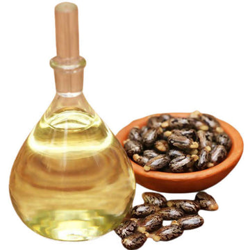 https://cdn.shopify.com/s/files/1/1857/6931/products/bAAg4dP5VN.jpg?v=1759285175