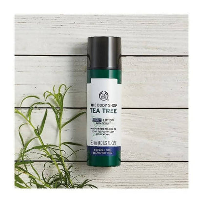 https://cdn.shopify.com/s/files/1/1857/6931/products/bAVYxdMxLL.jpg?v=1629801503