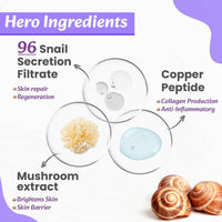 https://cdn.shopify.com/s/files/1/1857/6931/files/bD3PMK2gv0.jpg?v=1729236712
