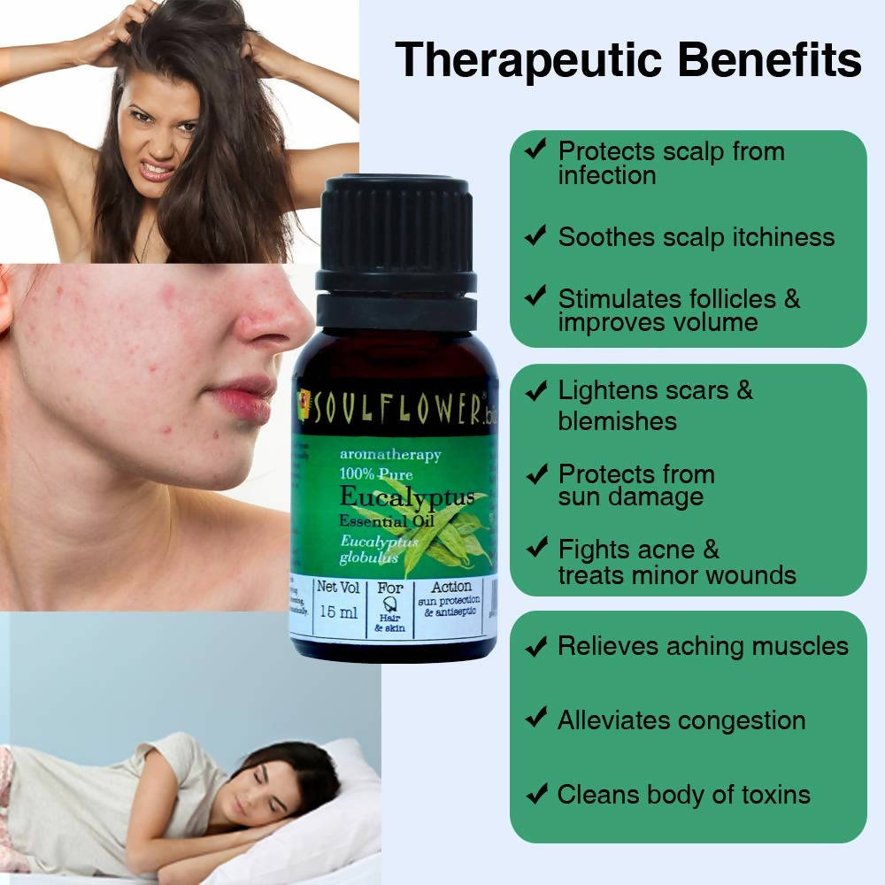https://cdn.shopify.com/s/files/1/1857/6931/products/bENpvSFKfG.jpg?v=1624109195