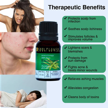 https://cdn.shopify.com/s/files/1/1857/6931/products/bENpvSFKfG.jpg?v=1624109195