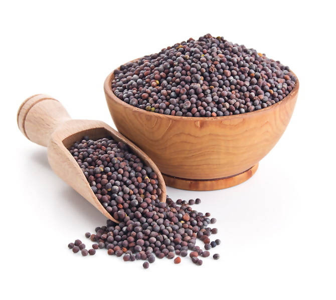 https://cdn.shopify.com/s/files/1/1857/6931/products/bGuK3aofK7.jpg?v=1627289569