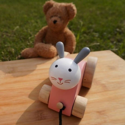 https://cdn.shopify.com/s/files/1/1857/6931/products/bHWuZuhHiY.jpg?v=1665830605