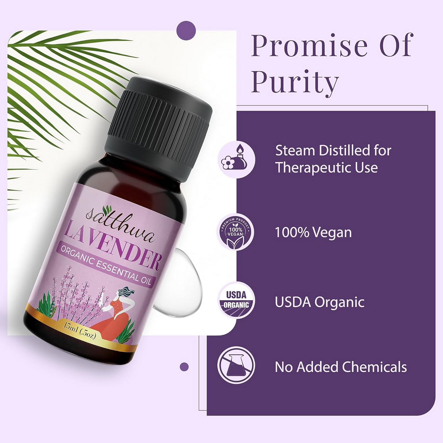 https://cdn.shopify.com/s/files/1/1857/6931/files/bJ0COQxRqY.png?v=1728279071