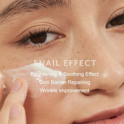 https://cdn.shopify.com/s/files/1/1857/6931/files/bKZsLMB6kj.png?v=1737637661