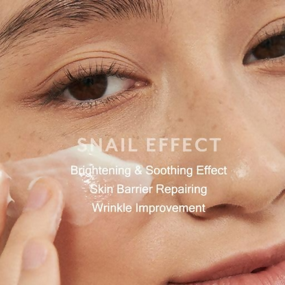 https://cdn.shopify.com/s/files/1/1857/6931/files/bKZsLMB6kj.png?v=1737637661