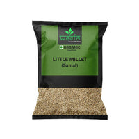 https://cdn.shopify.com/s/files/1/1857/6931/products/bLrkSvha95.jpg?v=1669898704