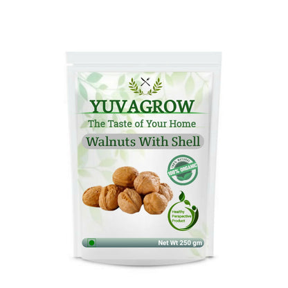 https://cdn.shopify.com/s/files/1/1857/6931/files/bLxLekRMMH.jpg?v=1717392113