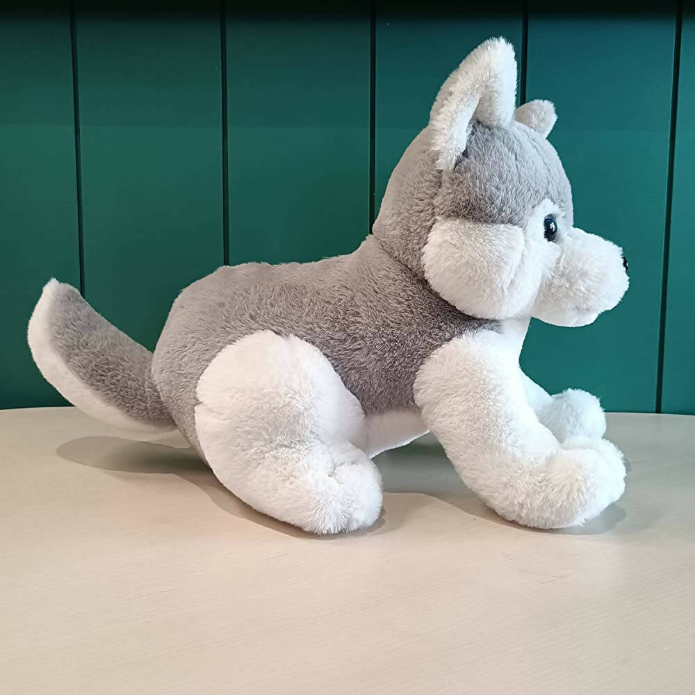 https://cdn.shopify.com/s/files/1/1857/6931/products/bMQVorhOxb.jpg?v=1666249839