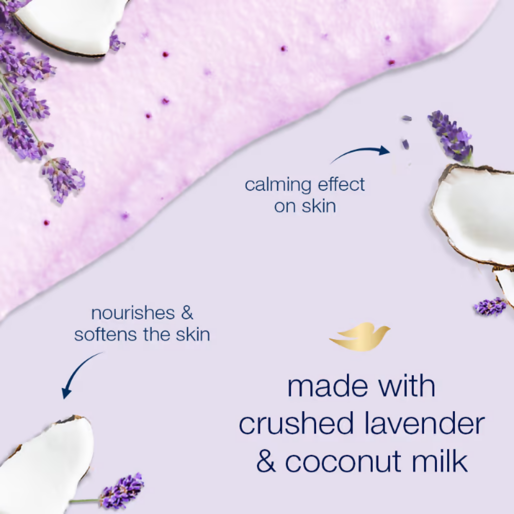 https://cdn.shopify.com/s/files/1/1857/6931/files/bNL208d27d.png?v=1767613685