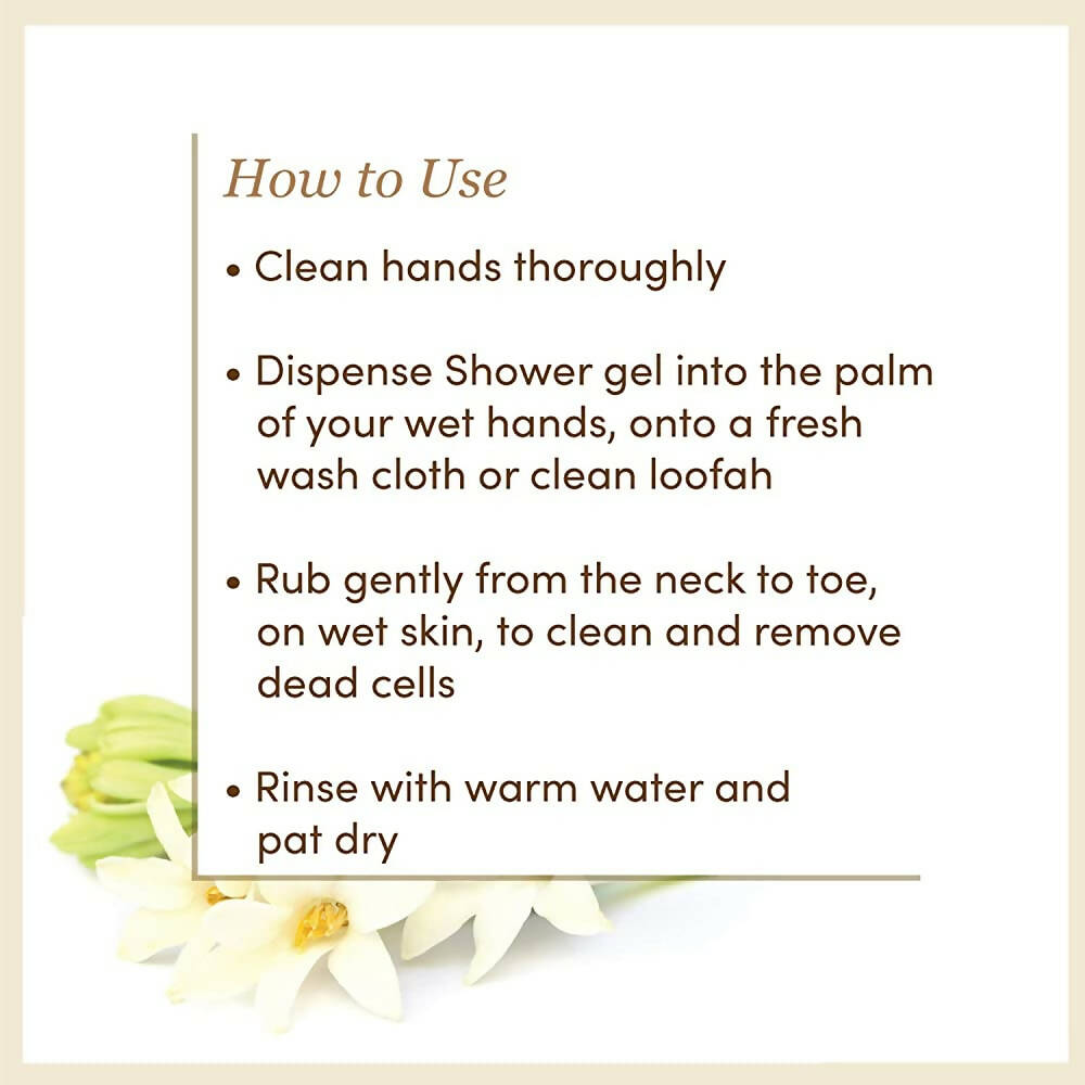 https://cdn.shopify.com/s/files/1/1857/6931/products/bNs2gq0uKQ.jpg?v=1667213361