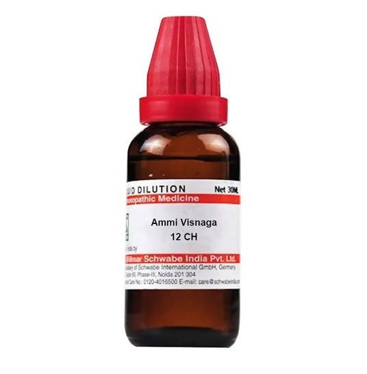 https://cdn.shopify.com/s/files/1/1857/6931/products/bNsKQZ2ukt.jpg?v=1640930452