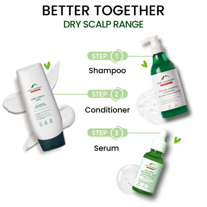 https://cdn.shopify.com/s/files/1/1857/6931/files/bO9v0s6Lqy.png?v=1741351320