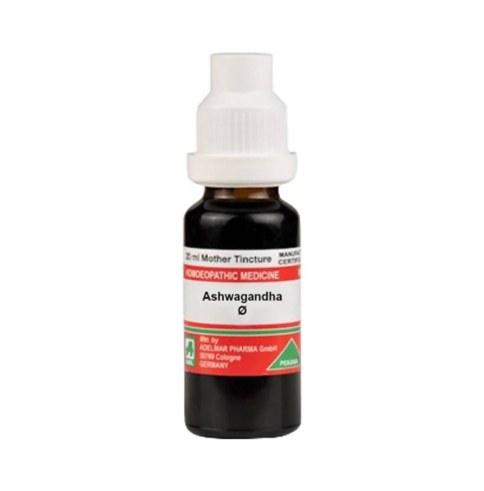 https://cdn.shopify.com/s/files/1/1857/6931/products/bPNYkD18vy.jpg?v=1613896312