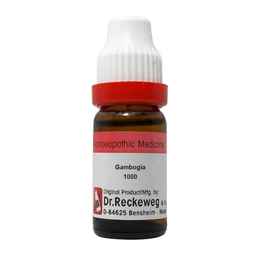 https://cdn.shopify.com/s/files/1/1857/6931/products/bPkLgIgwDk.jpg?v=1679312040
