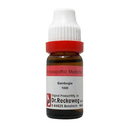 https://cdn.shopify.com/s/files/1/1857/6931/products/bPkLgIgwDk.jpg?v=1679312040