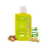 https://cdn.shopify.com/s/files/1/1857/6931/files/bPkoafTVwV.png?v=1759316239