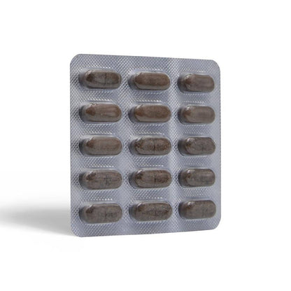 https://cdn.shopify.com/s/files/1/1857/6931/products/bQzGXgP26X.jpg?v=1640944129