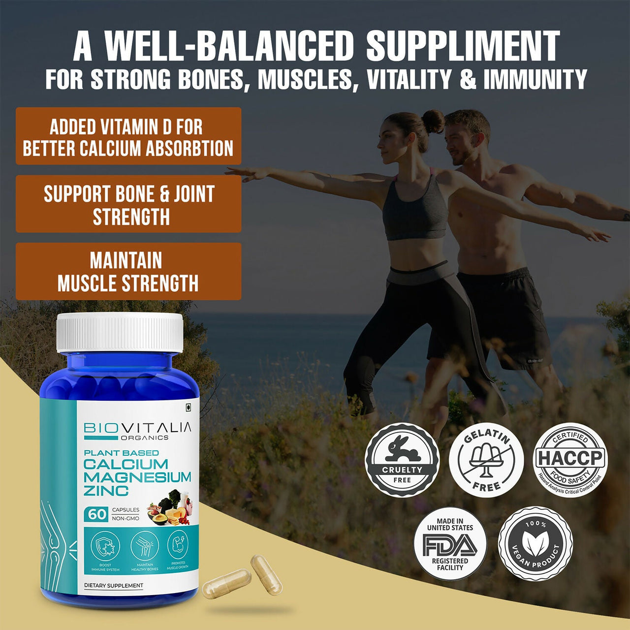 https://cdn.shopify.com/s/files/1/1857/6931/files/bRTuPChR08.jpg?v=1727680186