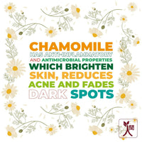 https://cdn.shopify.com/s/files/1/1857/6931/products/bRon5mEr2X.jpg?v=1705564491