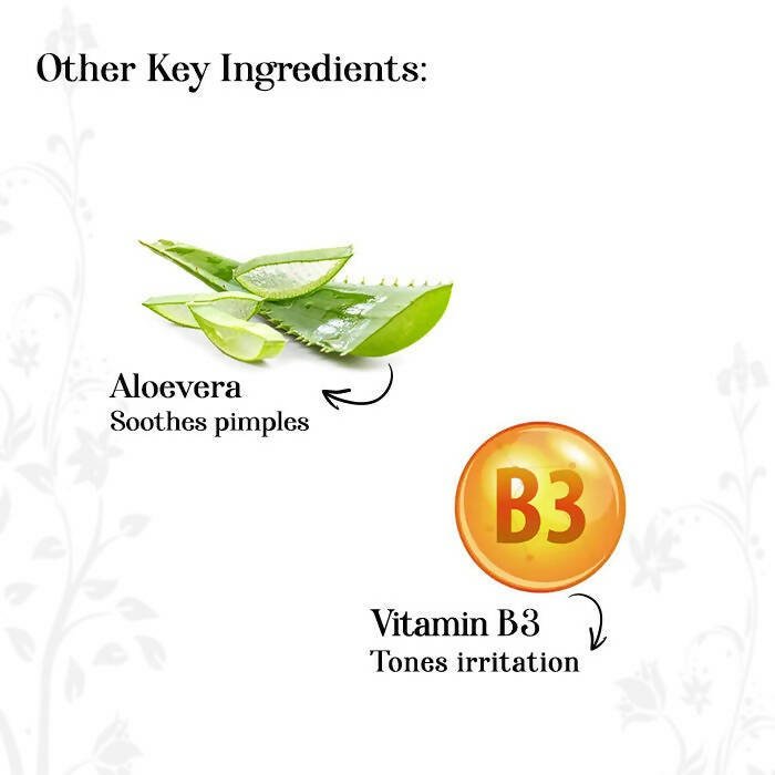 https://cdn.shopify.com/s/files/1/1857/6931/files/bTjj310GOn-139446.jpg?v=1736146741