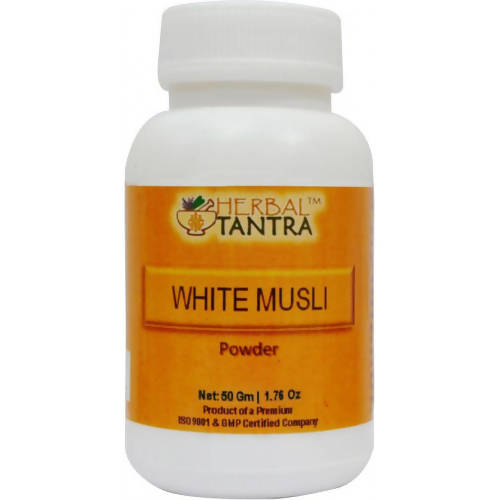 https://cdn.shopify.com/s/files/1/1857/6931/products/bUHET5RAsX.jpg?v=1652099639