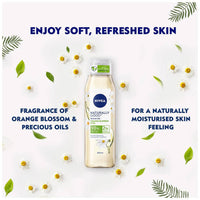 https://cdn.shopify.com/s/files/1/1857/6931/products/bYgM44Y18F.jpg?v=1646136475