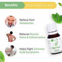 https://cdn.shopify.com/s/files/1/1857/6931/products/baURzmSnft.jpg?v=1623493179