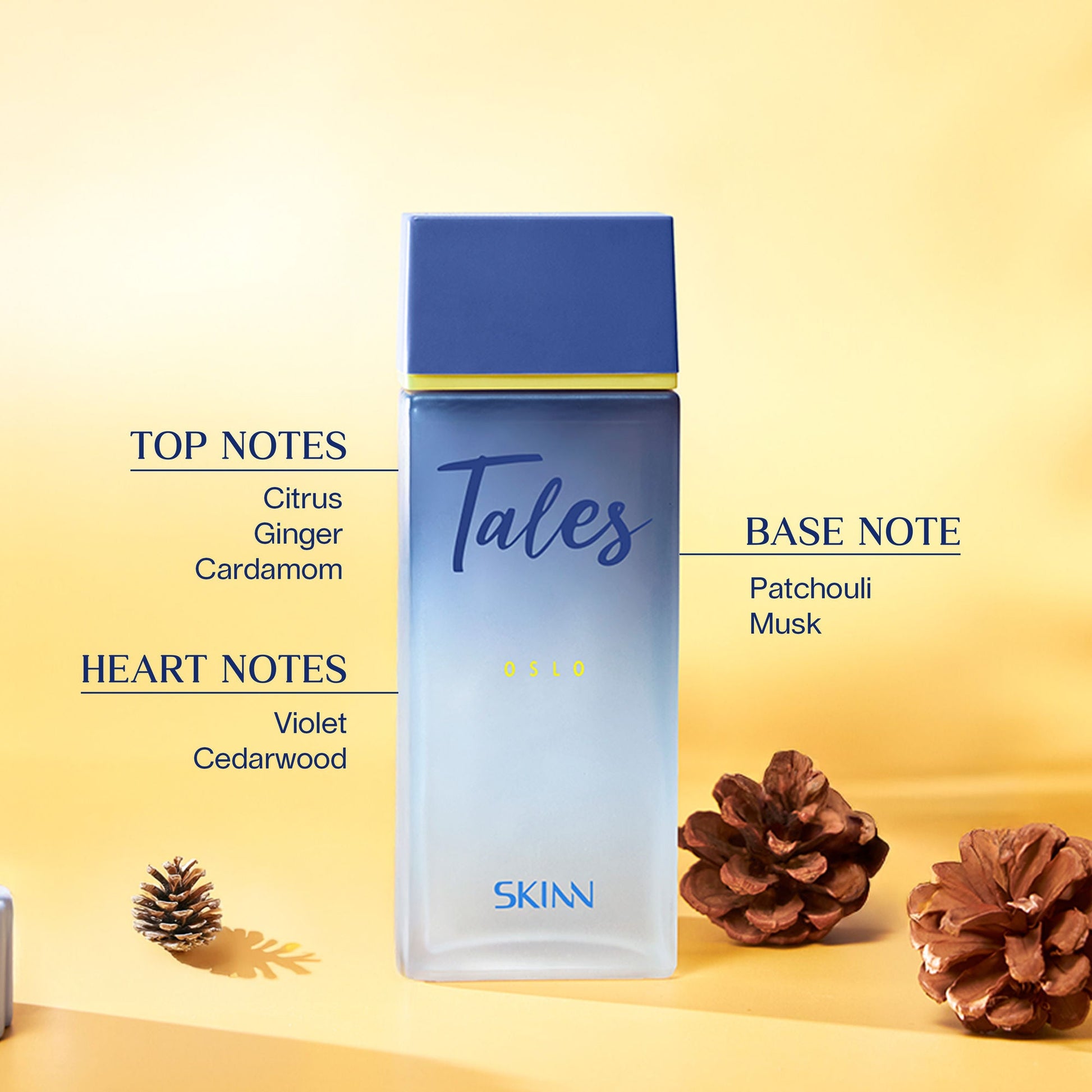 https://cdn.shopify.com/s/files/1/1857/6931/files/bacf330SKINN00000005_3.jpg?v=1779097457