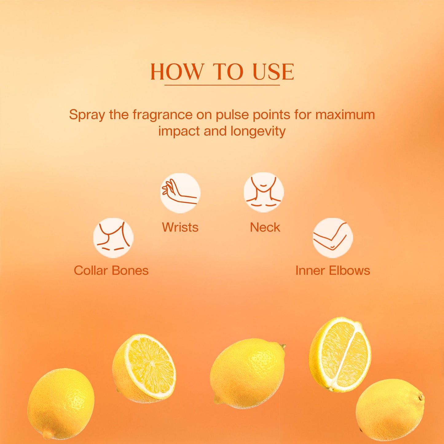 https://cdn.shopify.com/s/files/1/1857/6931/files/bacf330SKINN00000006_6.jpg?v=1779097353