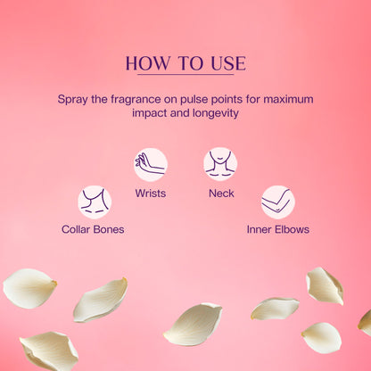 https://cdn.shopify.com/s/files/1/1857/6931/files/bacf330SKINN00000008_6.jpg?v=1779097348