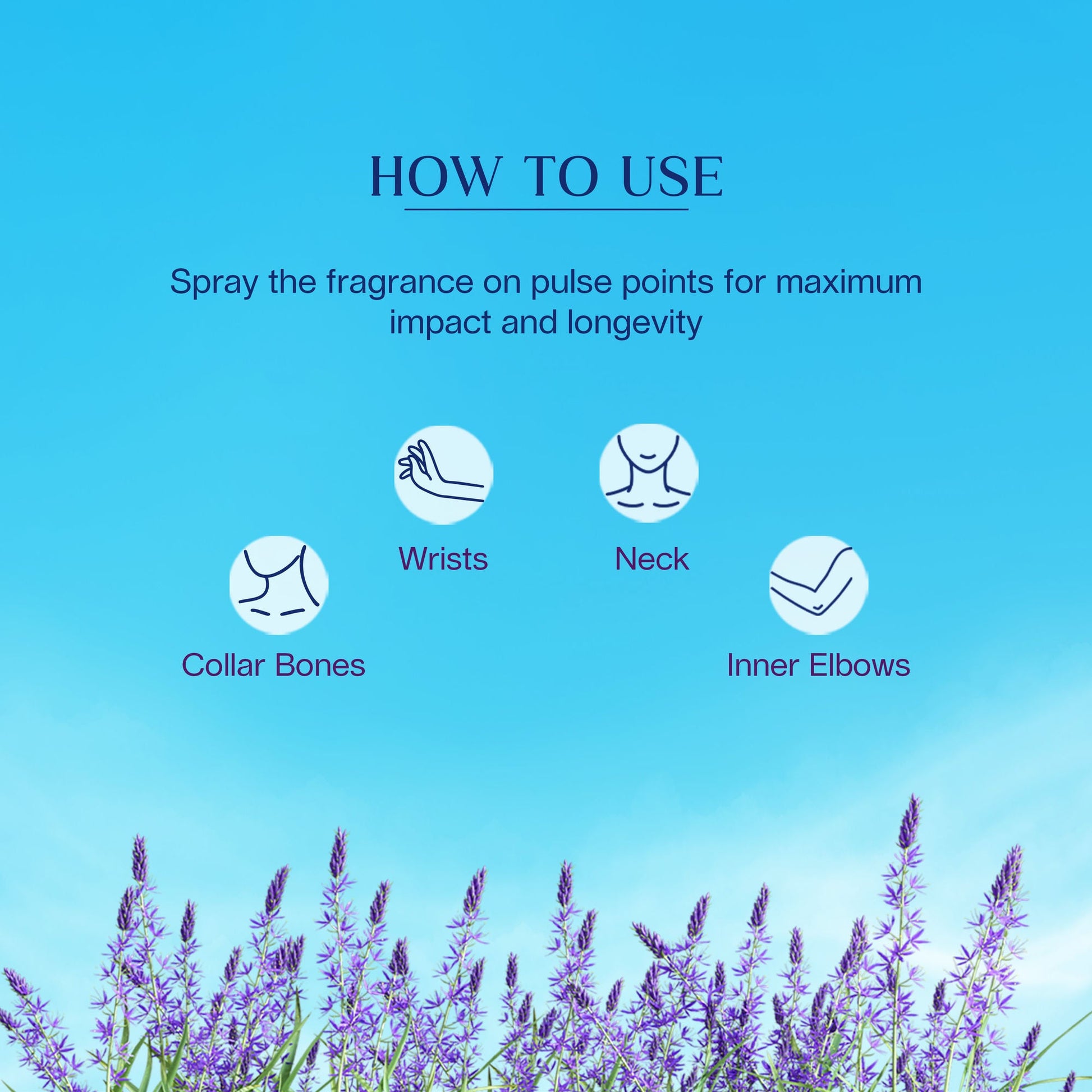 https://cdn.shopify.com/s/files/1/1857/6931/files/bacf330SKINN00000114_6.jpg?v=1779097382