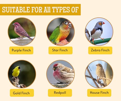 Image 15 of Foodie Puppies Bird Food for Finches, Sparrow, Pigeon & All Wild Birds