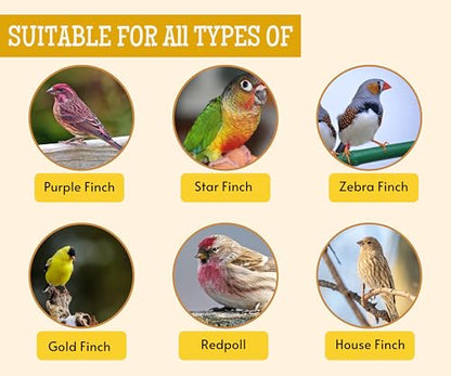 Image 15 of Foodie Puppies Bird Food for Finches, Sparrow, Pigeon & All Wild Birds