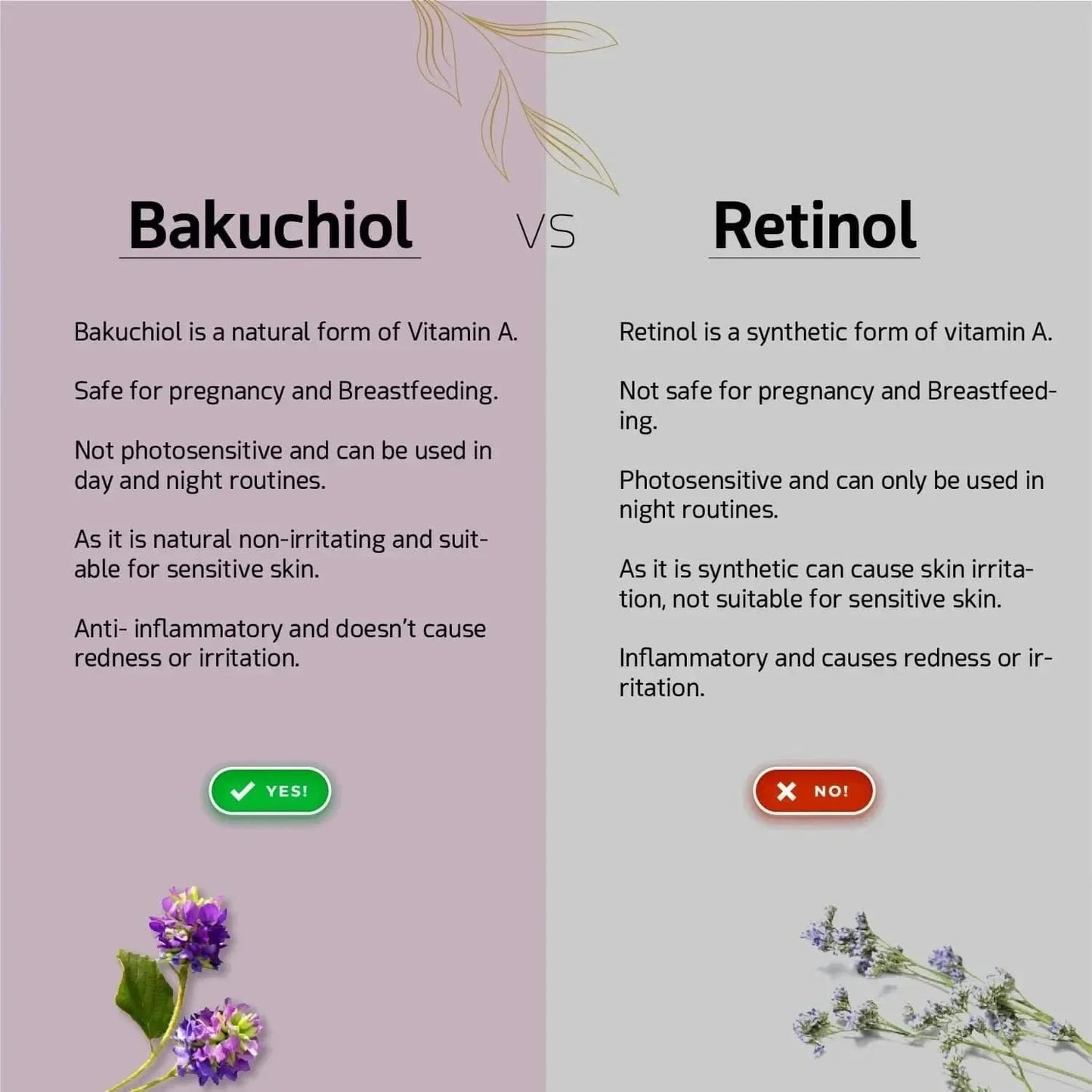 https://cdn.shopify.com/s/files/1/1857/6931/files/bakuchiol-anti-aging-serum-680660.webp?v=1775715610