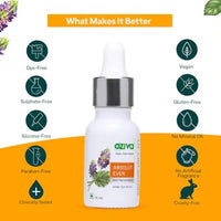 https://cdn.shopify.com/s/files/1/1857/6931/products/bam3S9nri2.jpg?v=1646994099