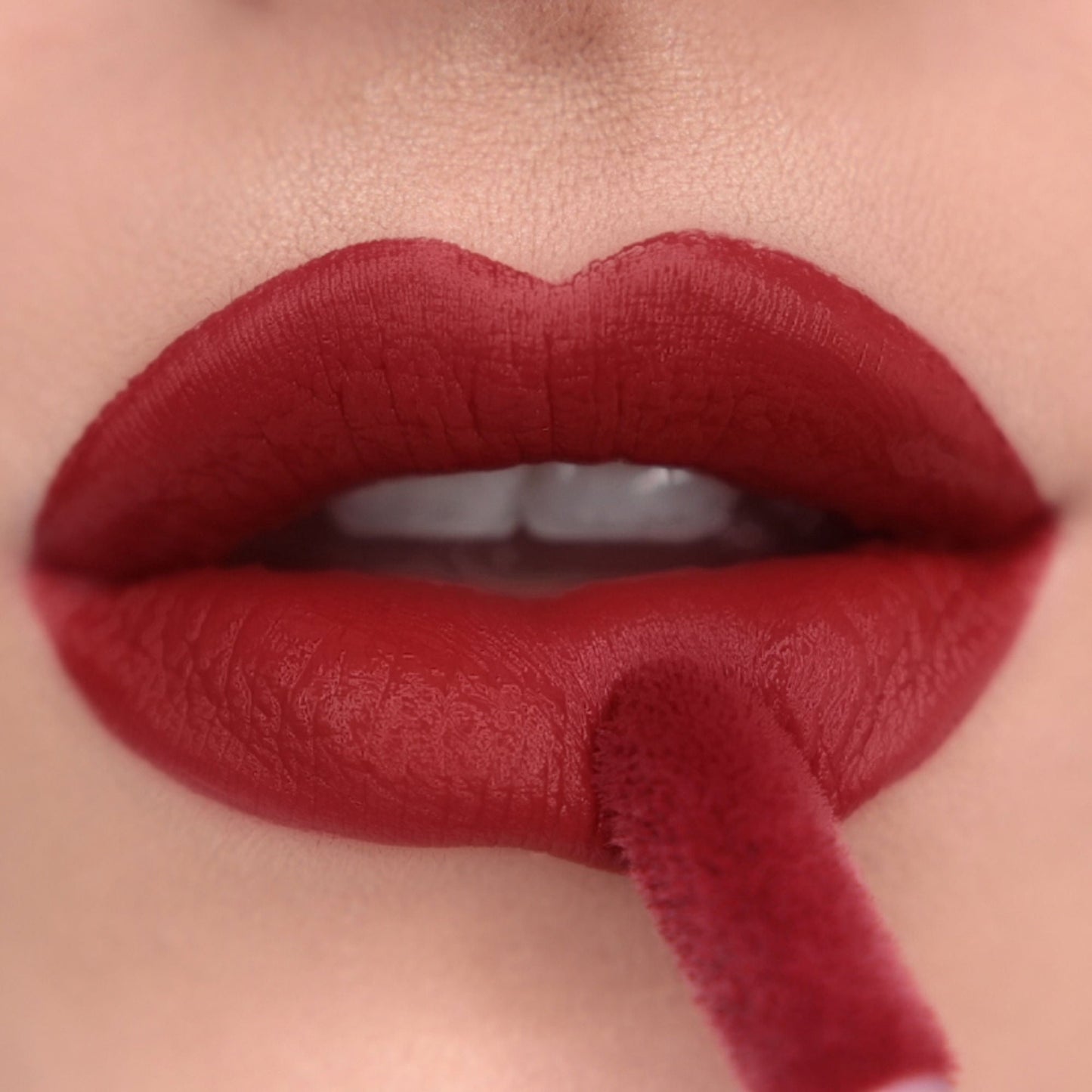 https://cdn.shopify.com/s/files/1/1857/6931/files/bb656f55057566392204_4.jpg?v=1769591041