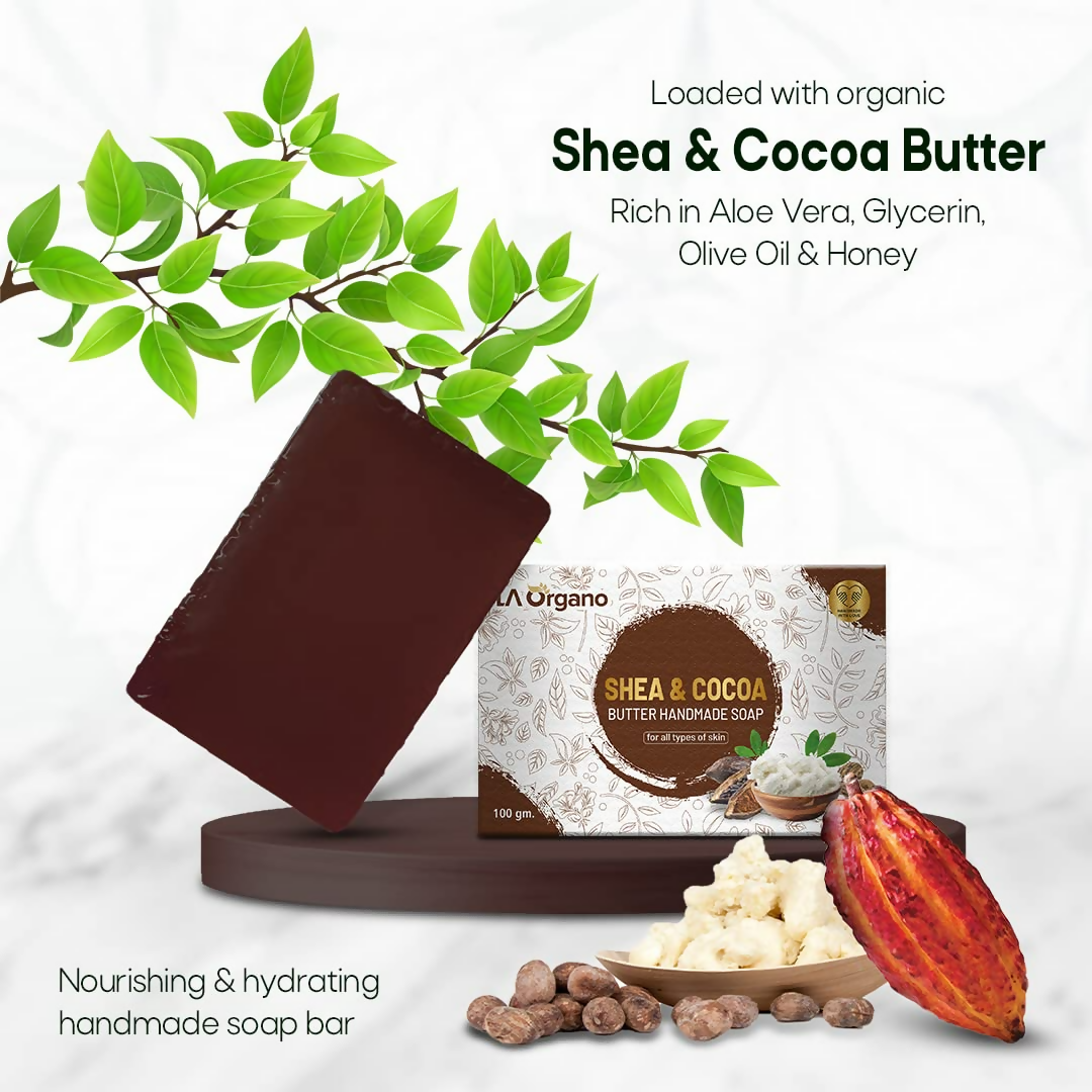https://cdn.shopify.com/s/files/1/1857/6931/files/bbcZEQaBoo.png?v=1718863788