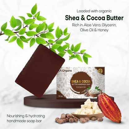 https://cdn.shopify.com/s/files/1/1857/6931/files/bbcZEQaBoo.png?v=1718863788