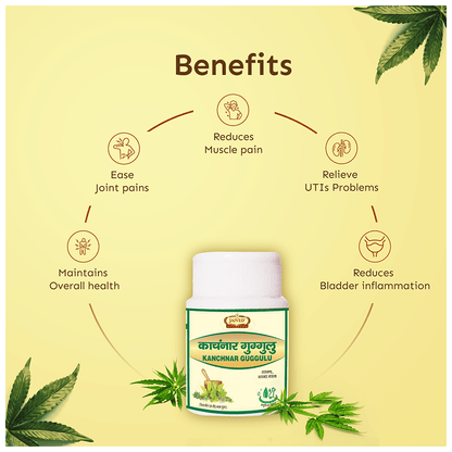 https://cdn.shopify.com/s/files/1/1857/6931/files/bc50f2e66aab47368c6ace9186a3939c.png?v=1765799591