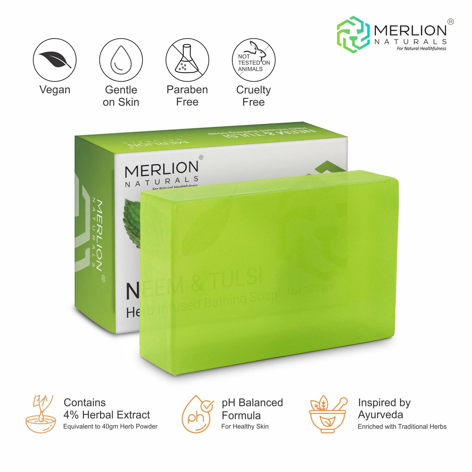 https://cdn.shopify.com/s/files/1/1857/6931/files/bcTXMxgW3D.jpg?v=1755001009