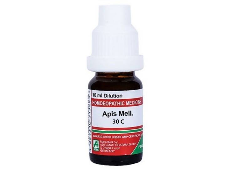 https://cdn.shopify.com/s/files/1/1857/6931/files/bdhYfkTsH8-209657.jpg?v=1736143262