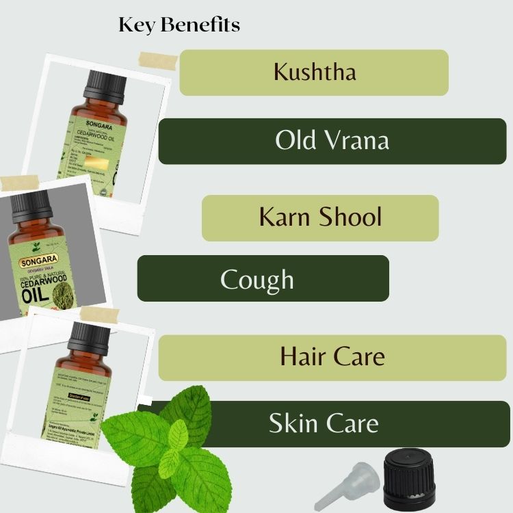 https://cdn.shopify.com/s/files/1/1857/6931/files/benefitsofCedarwoodessentailoil.jpg?v=1778160433